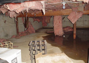 fiberglass insulation dripping off the ceiling of a crawl space in Asheboro.