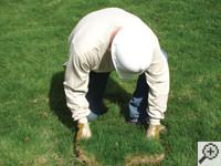 Restoring the landscaping by replacing removed sod on the ground for a Kernersville home.