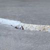 Slab floor cracks showing in a Graham home
