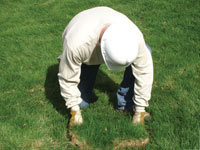 Restoring the landscaping by replacing removed lawn sections for a High Point home.