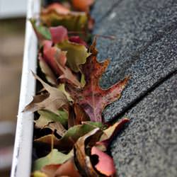 Clogged gutters filled with fall leaves  in Mocksville